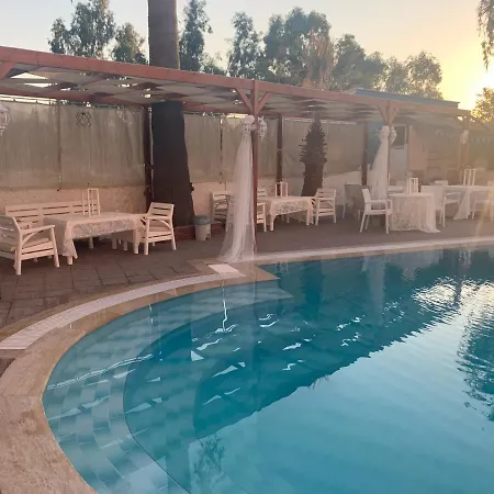 호텔 Holiday Hotel